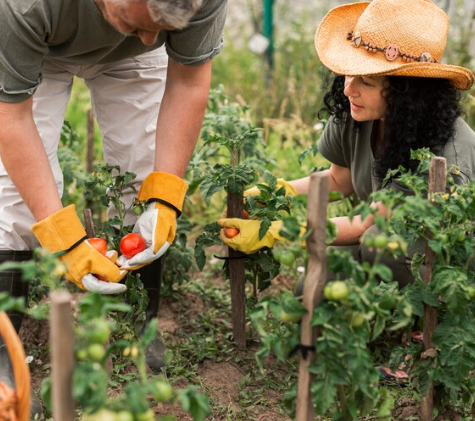  Agricultores familiares poderão receber apoio financeiro por conservar a Amazônia