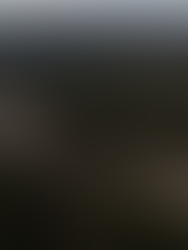 Em apenas dois meses, garimpo devastou área equivalente a 462 campos de futebol em Unidades de Conservação na Amazônia, mostra monitoramento do Greenpeace Brasil