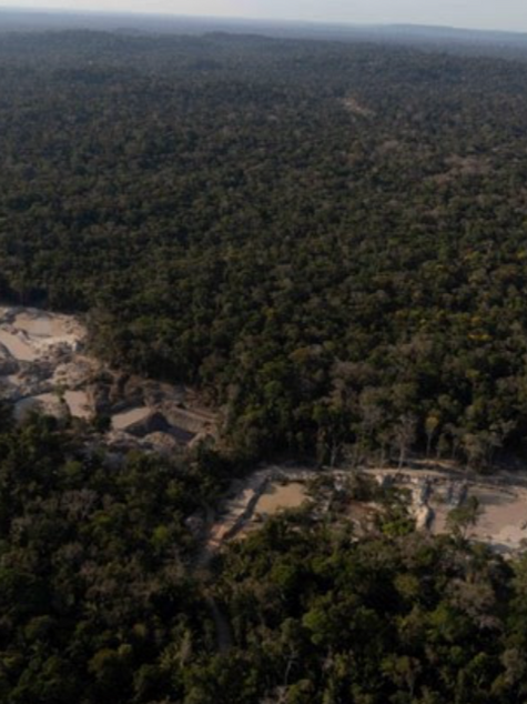 Em apenas dois meses, garimpo devastou área equivalente a 462 campos de futebol em Unidades de Conservação na Amazônia, mostra monitoramento do Greenpeace Brasil
