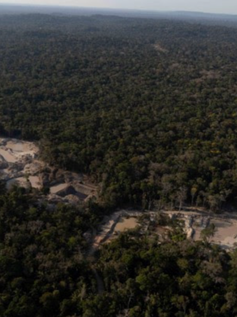 Em apenas dois meses, garimpo devastou área equivalente a 462 campos de futebol em Unidades de Conservação na Amazônia, mostra monitoramento do Greenpeace Brasil