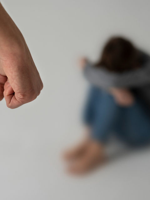 Projeto de Lei propõe inelegibilidade para condenados por violência doméstica