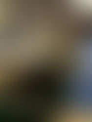 Loja de Belém é multada por exploração de trabalho infantil