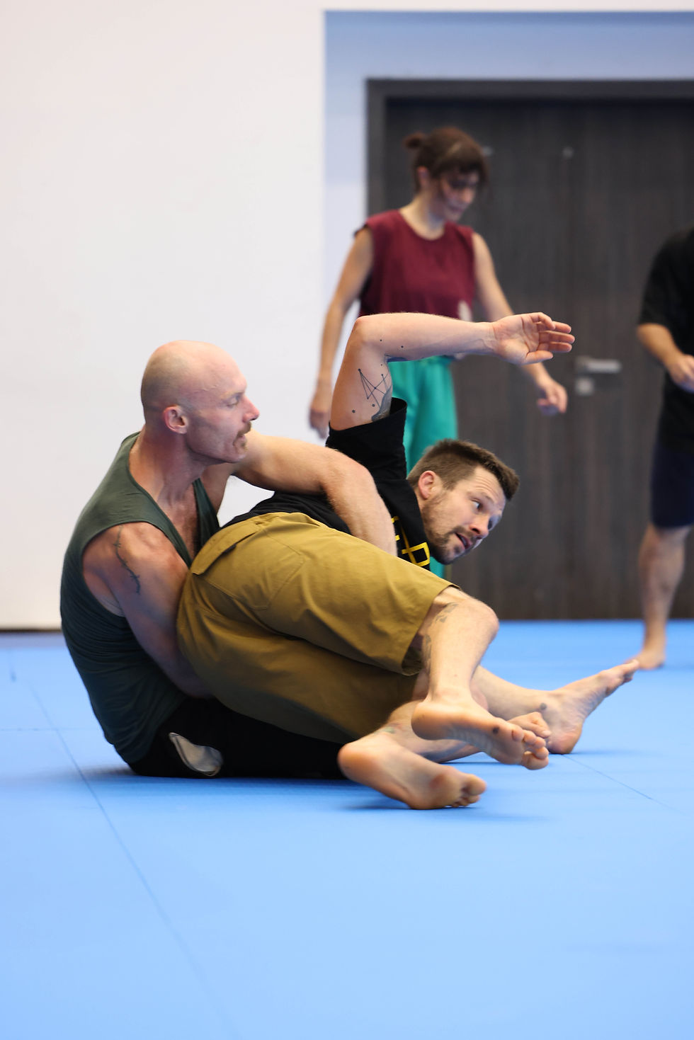 Professional Playfulness Prague - Fighting Monkey Workshop