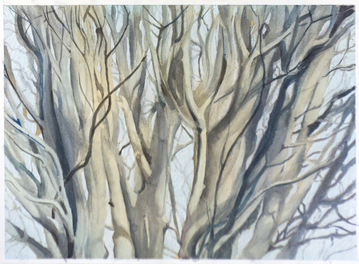 Arpine Tokmajyan
Arpi