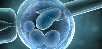 Conselho libera fertilização in vitro para mulheres acima de 50 anos