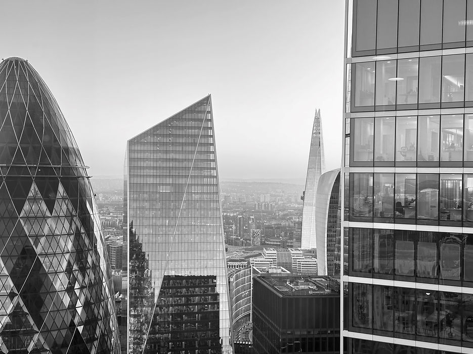 Skyline (1).jpg