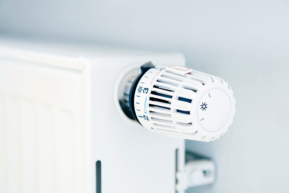 Temperaturregler für den Kühler