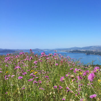 Le Pradet : vue de la Gavaresse