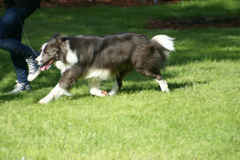 Acko 2 years