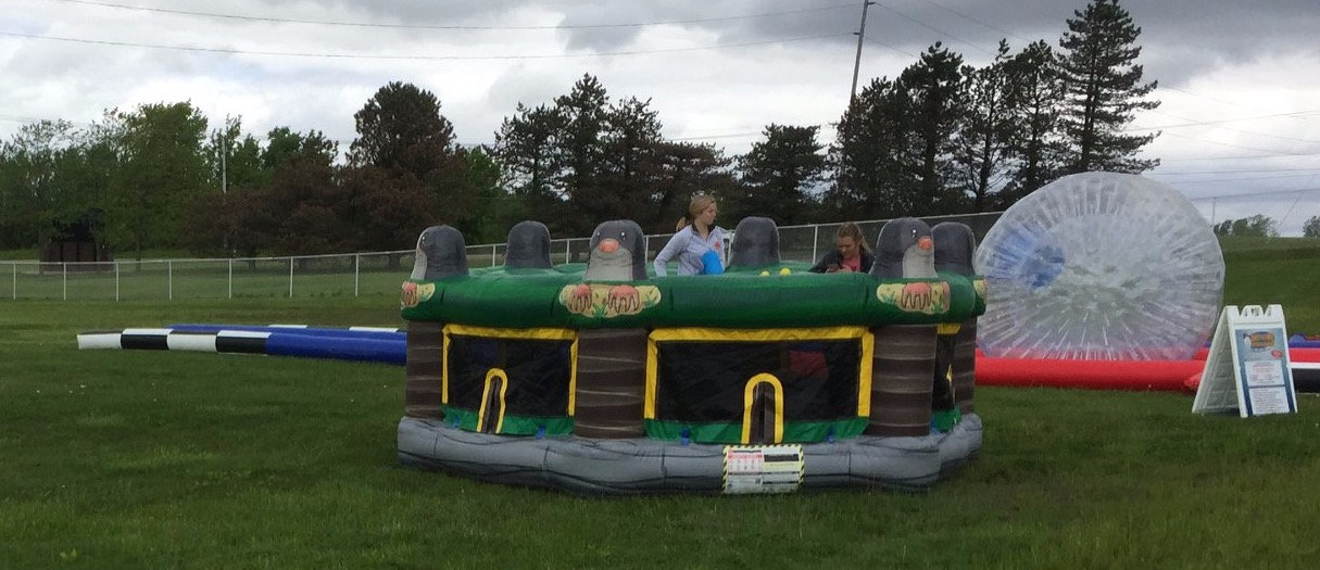 inflatable whack a mole rental
