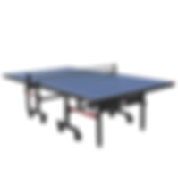 Ping Pong Table.jpeg