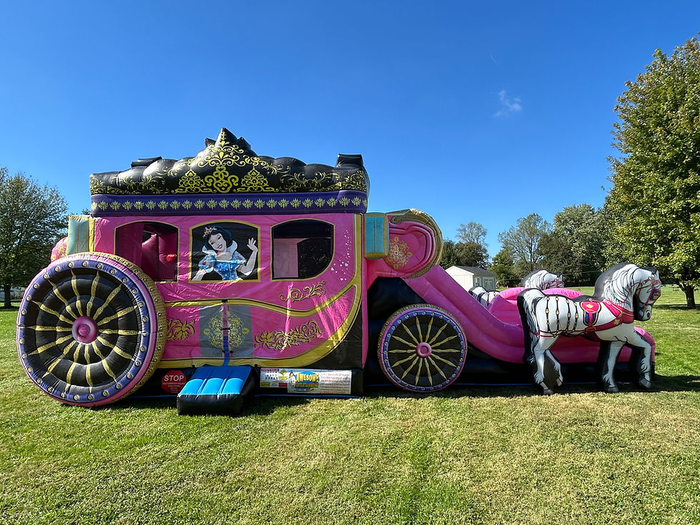 Thumbnail: horse themed bounce house rentals Columbus OH jump house rentals Cincinnati, Cleveland, Dayton, West Chester, Princess Castle
