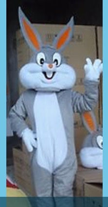 Ohio Bugs bunny party character for hire Columbus Ohio children's characters for hire