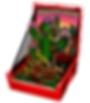 carnival game rentals Columbus Ohio western themed game rentals Ohio