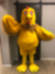Chicken 0.jpeg