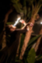 Columbus Ohio Fire breather, Columbus Ohio fire performer, Columbus Ohio fire eater, Columbus, Ohio fire performer for hire,