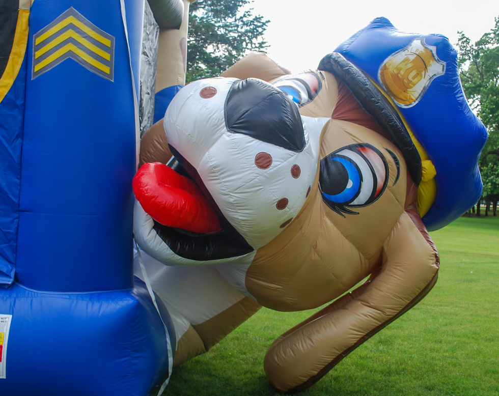 COLUMBUS OHIO BOUNCE HOUSE RENTALS COLUMBUS OHIO INFLATABLE SLIDE