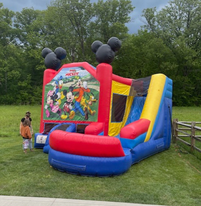 Mickey Mouse Clubhouse Minnie Mouse Water Slide Rental Columbus
