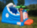Ohio Sea Horse themed bounce house rentals - wet or dry bounce house rentals Ohio