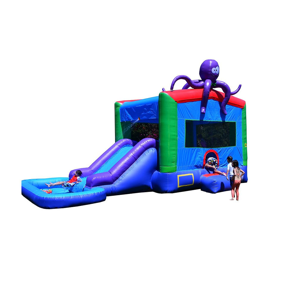 COLUMBUS OHIO BOUNCE HOUSE RENTALS COLUMBUS OHIO INFLATABLE SLIDE
