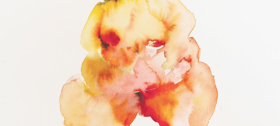 Gorgeous edited_edited.jpg