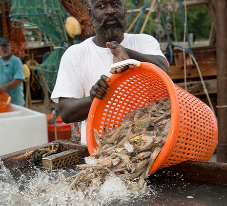 17ShrimpFest048_edited.jpg