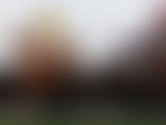 Ladbrokes Trophy Preview