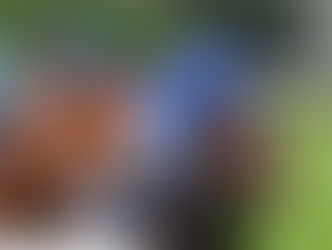 Jordan Yates' Sunday Deauville Preview. (05/08/2018)