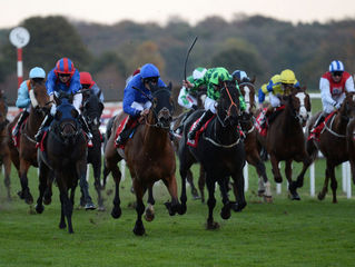 Doncaster November Handicap Preview