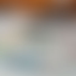 Landesmeisterschaft Bogen Halle WA 18 – Steinbach