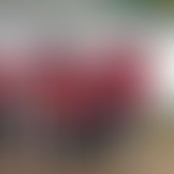 Bogenfreunde Öflingen glänzen bei der Hallen-Kreismeisterschaft in Waldshut