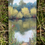 Thumbnail: 'Reflections in the Pond'