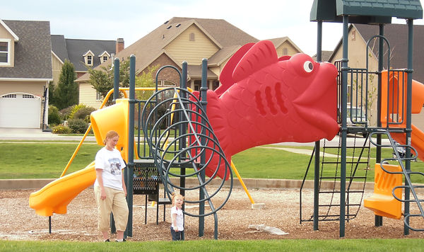 HP Playground Equip.JPG