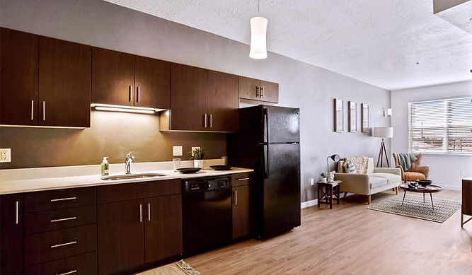 Kitchen-into-Living.jpg
