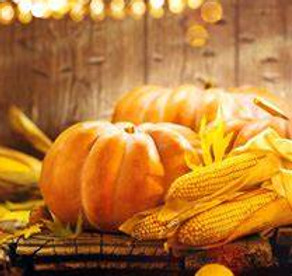 Thanksgiving Holiday.jpg