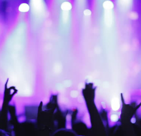 concert crowd.jpg