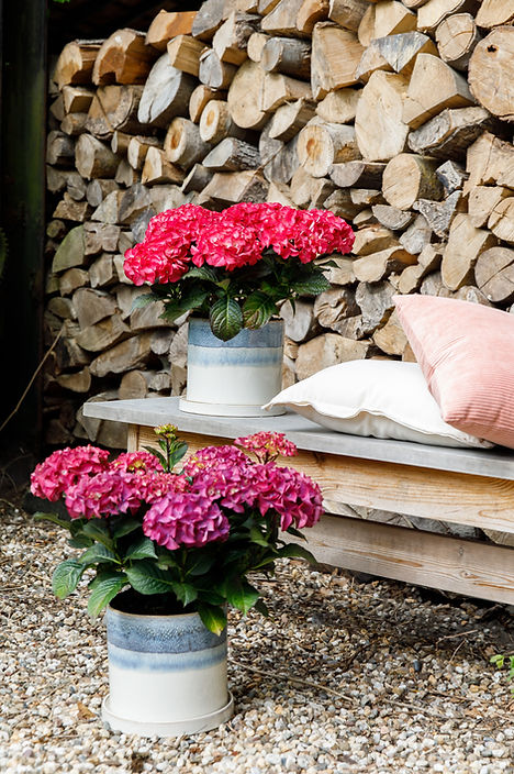 Black Diamonds (2).jpg