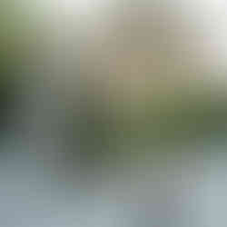 Cocktail area with luxury event rentals and sculptural arches at sunset in a garden venue