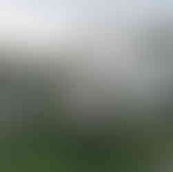 Designer lounge furniture in black and green tones set up on lawn for upscale cocktail area