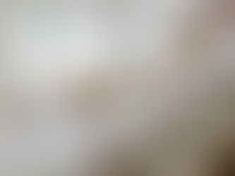 Detail of Tosca china and soft napkins in Thanksgiving rental tablescape