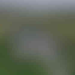 Distant view of modern tented wedding reception with symmetrical tables on a lush Montecito field.