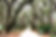 trail empty_edited.jpg