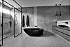 DSC00901.jpg