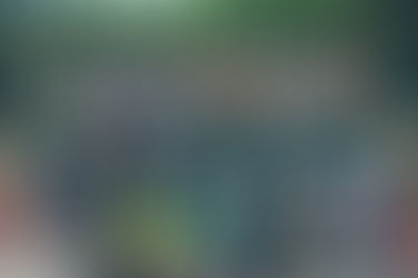 CFES President's Meeting 2016