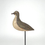 Thumbnail: Rare Winter Plumage Golden Plover - Charles Coffin - Nantucket Shorebird - Antique Shorebird Decoy - A&M Decoys & Folk Art