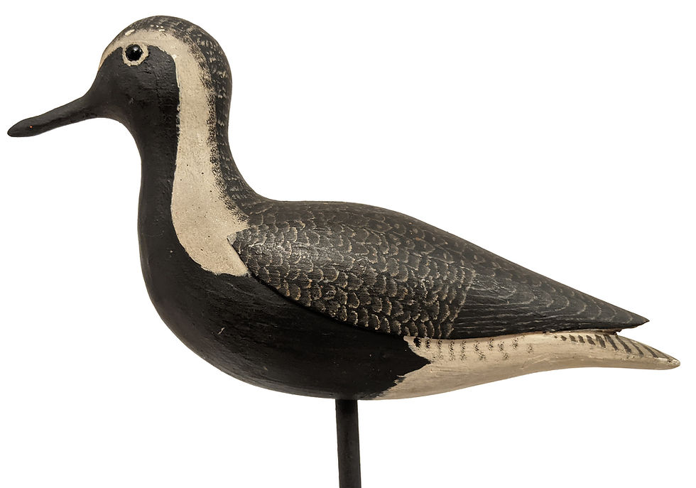 Black Bellied Plover Shorebird Decoy - Thomas Wilson - Antique Shorebird Decoy - A&M Decoys & Folk Art