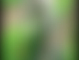 Moroccan Carrot Soup