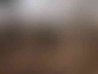 Morning at Little Petersburg Cemetery, Orange County, Virginia. January 8, 2026