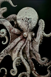 Light_Octopus_24x36_$1000.jpg