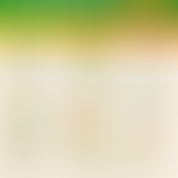 Fall Home Selling Checklist [INFOGRAPHIC]